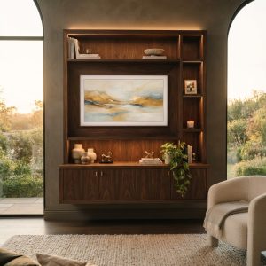 Elite Frame TV Unit